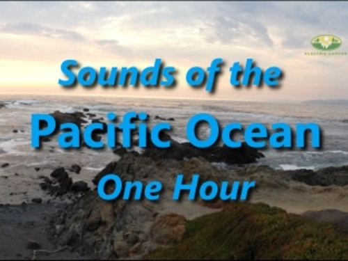 Product picture Pacific Ocean Natural Ambient Sound One Hour