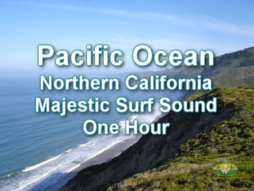 Product picture Pacific Ocean Majestic Ambient Sound One Hour