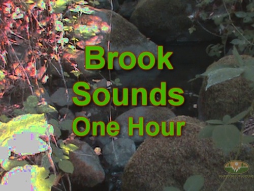 Product picture Brook Sounds Ambient Nature Sound One Hour